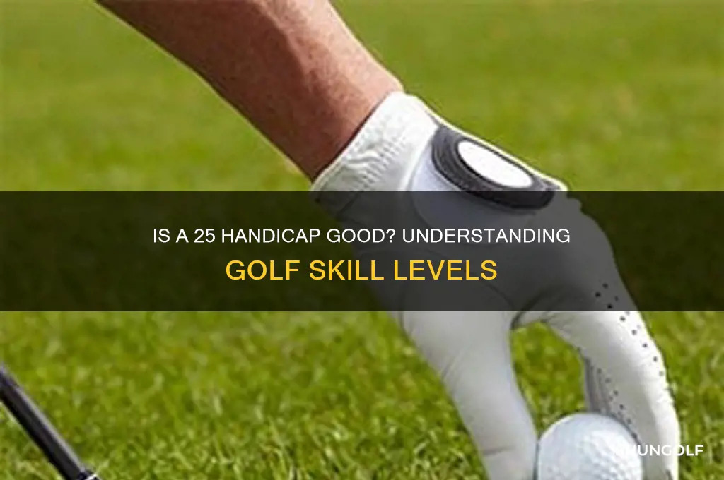 is a 25 handicap in golf good