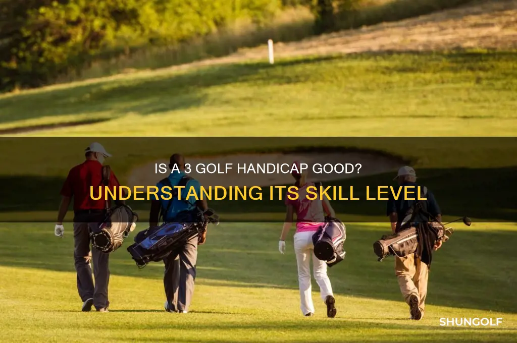 is a 3 golf handicap good