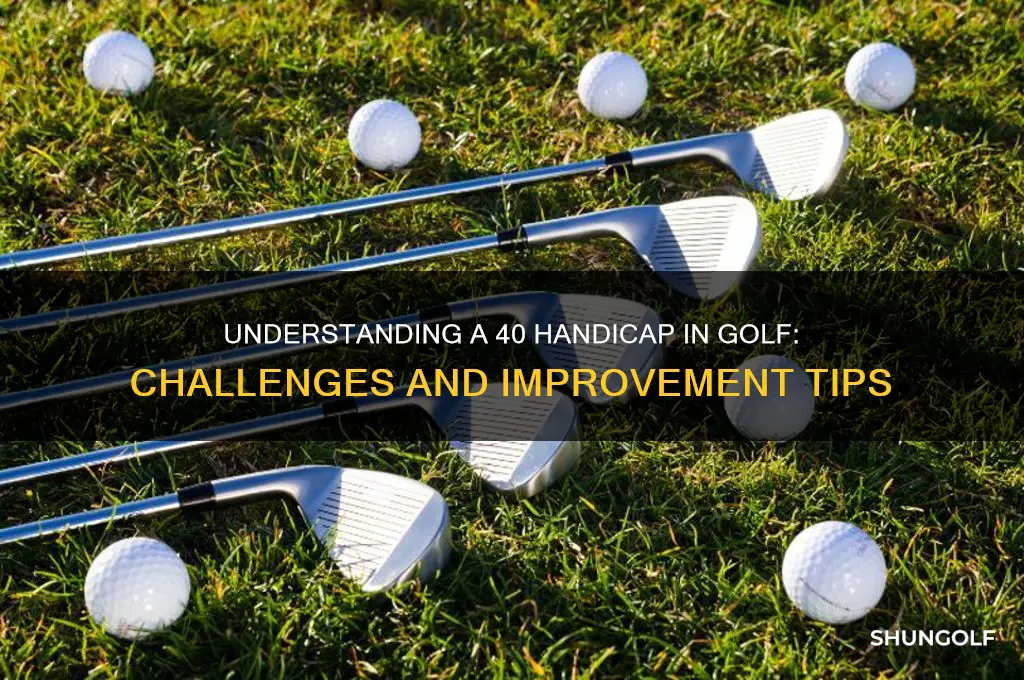 is a 40 handicap in golf