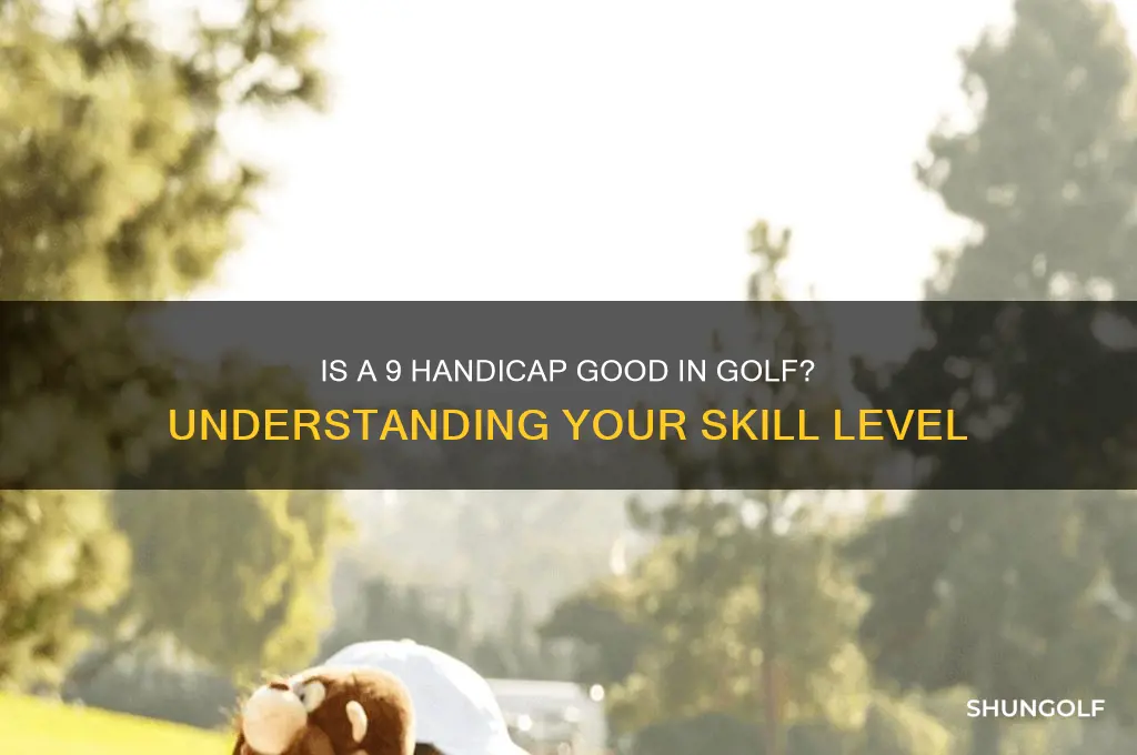 is a 9 handicap good in golf