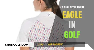 Birdie vs. Eagle: Which Golf Score Boosts Your Game More?
