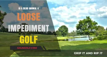Is a Dead Animal Considered a Loose Impediment in Golf?