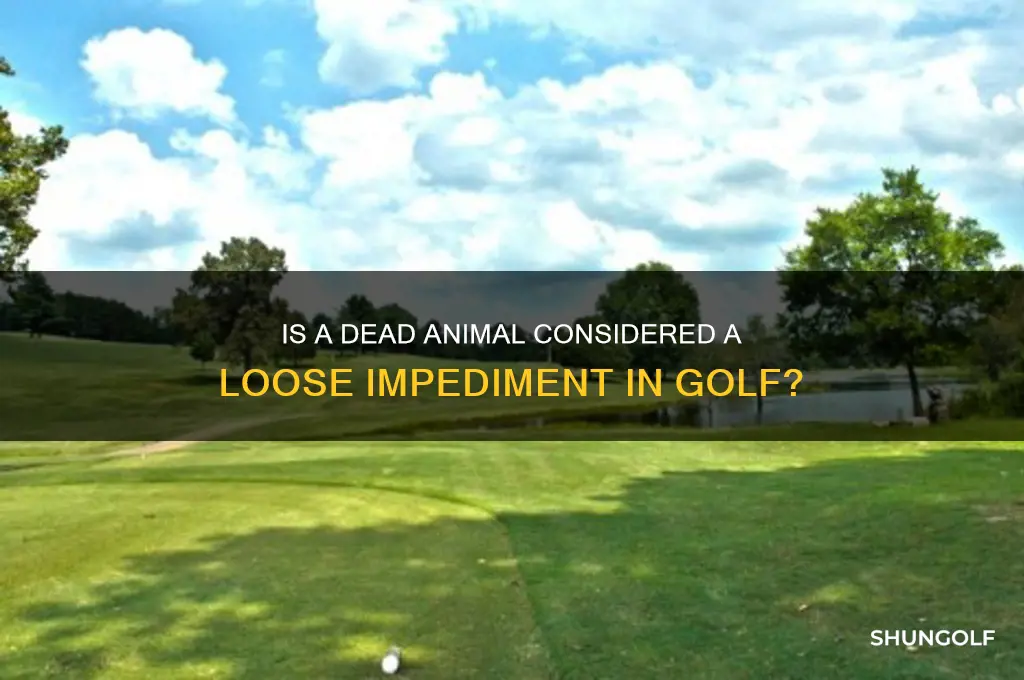 is a dead animal a loose impediment golf