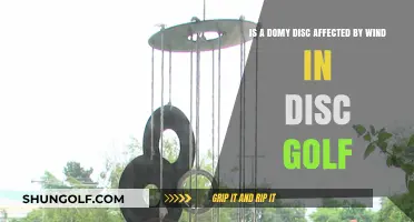 Wind's Impact on Domy Discs in Disc Golf: A Comprehensive Guide