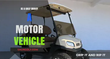 Golf Buggy Classification: Motor Vehicle or Something Else?