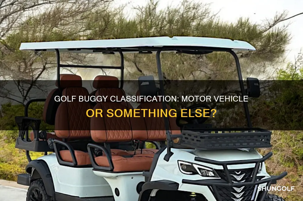 is a golf buggy a motor vehicle