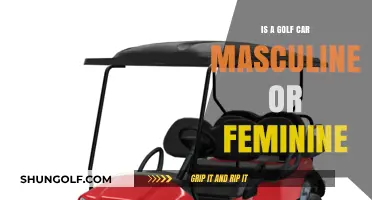 Golf Car Gender Debate: Masculine, Feminine, or Neutral?