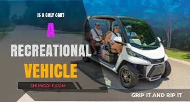 Golf Carts: Recreational Vehicles or Utility Transports?