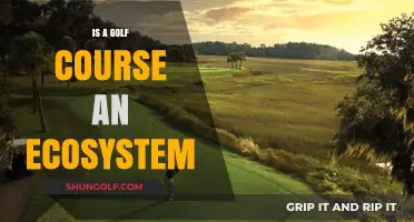 Golf Courses as Ecosystems: Biodiversity, Management, and Environmental Impact