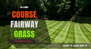 Exploring Golf Course Fairway Grass: Types, Maintenance, and Performance