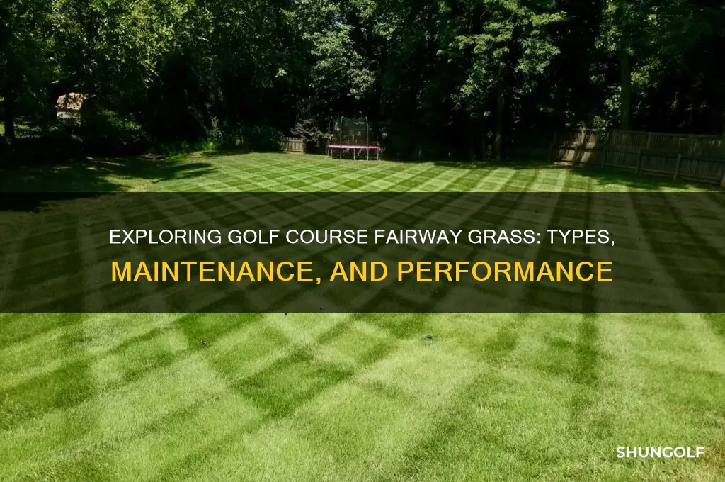 is a golf course fairway grass