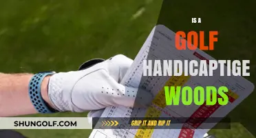 Tiger Woods' Handicap: What's His Secret?
