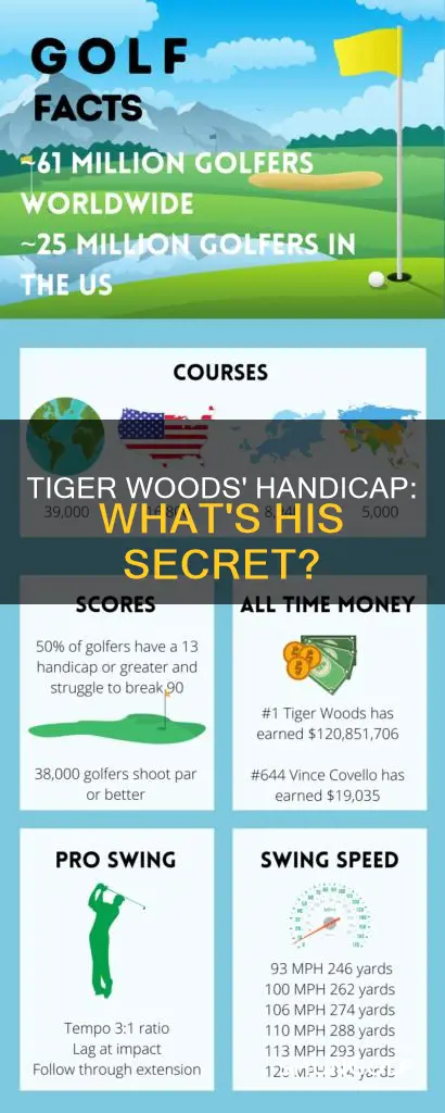 is a golf handicaptiger woods
