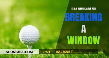 Golfer's Liability: Who Pays When a Golf Ball Breaks a Window?