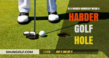 Higher Handicap, Harder Hole? Unraveling Golf's Handicap-Difficulty Connection