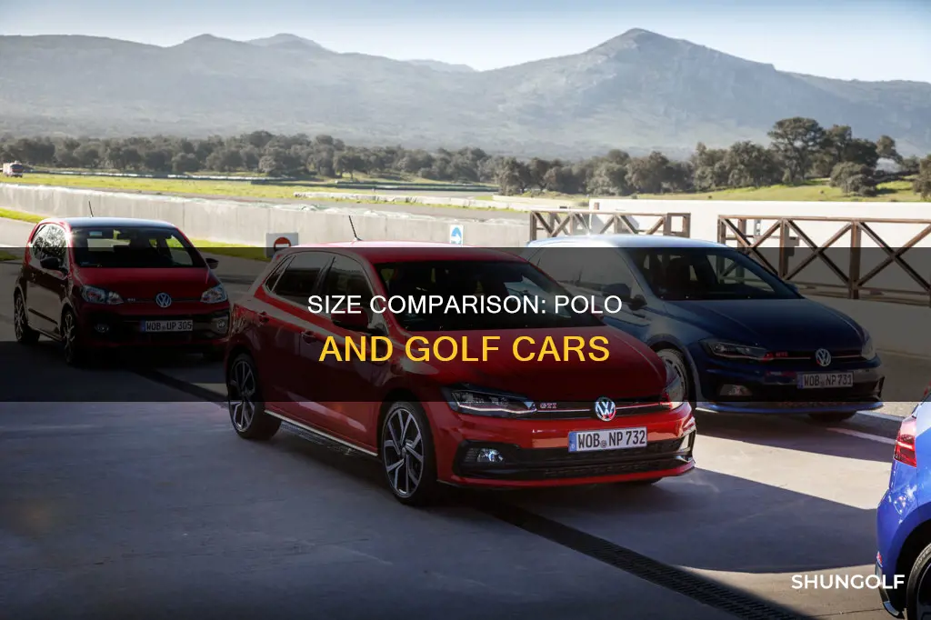 is a polo or golf bigger
