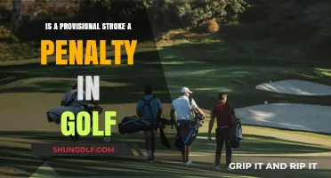 Provisional Stroke Penalty in Golf: Rules, Consequences, and Clarifications