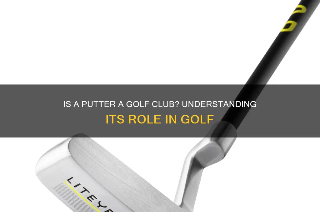 is a putter a golf club