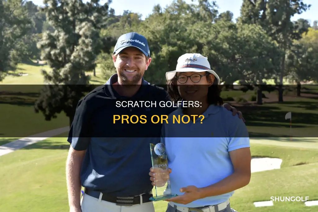 is a scratch golfer a pro