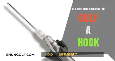 Straight Shot or Hook? Understanding Golf Ball Trajectories