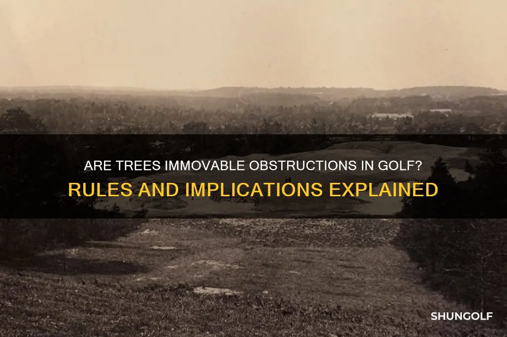 is a tree an immovable obstruction in golf