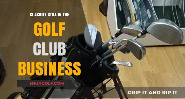 Is Acuity Still Dominating the Golf Club Industry Today?