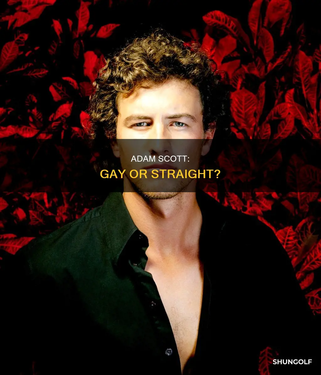 is adam scott golfer gay