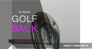 Adam's Golf: Back in the Swing of Things?