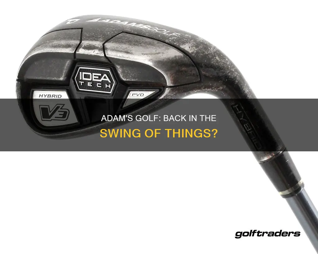 is adams golf back