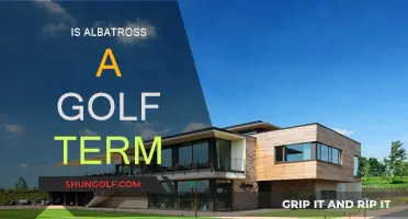 Golfing Glory: Albatross, Birdie or Bogey?