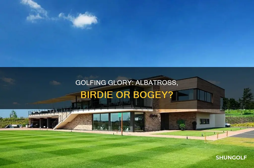 is albatross a golf term