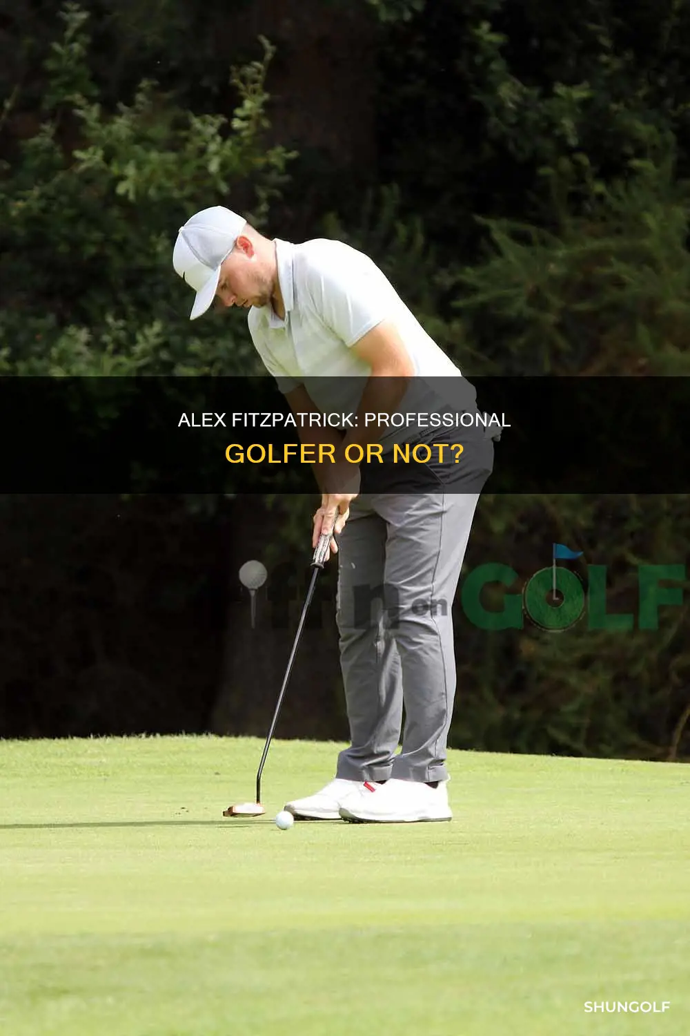 is alex fitzpatrick a pro golfer