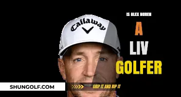Exploring Alex Norén's Golf Career: Is He Still Active?