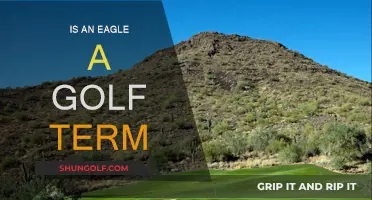 Golfing Terms: Eagle, Birdie, and More Explained