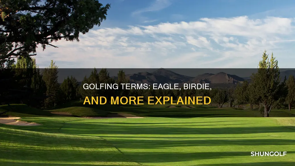 is an eagle a golf term