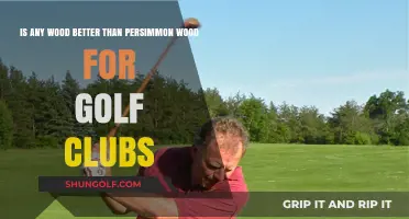 Persimmon vs. Modern Woods: Which Reigns Supreme in Golf Clubs?