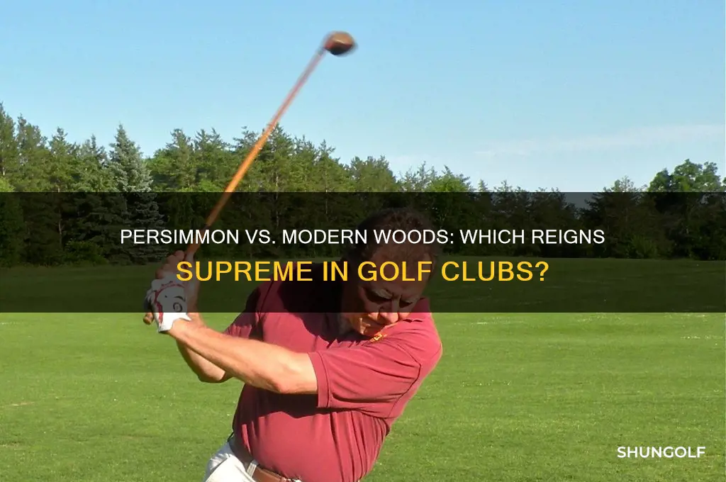 is any wood better than persimmon wood for golf clubs