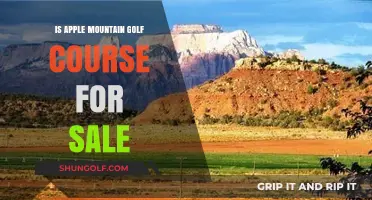 Is Apple Mountain Golf Course for Sale? Exploring the Rumors