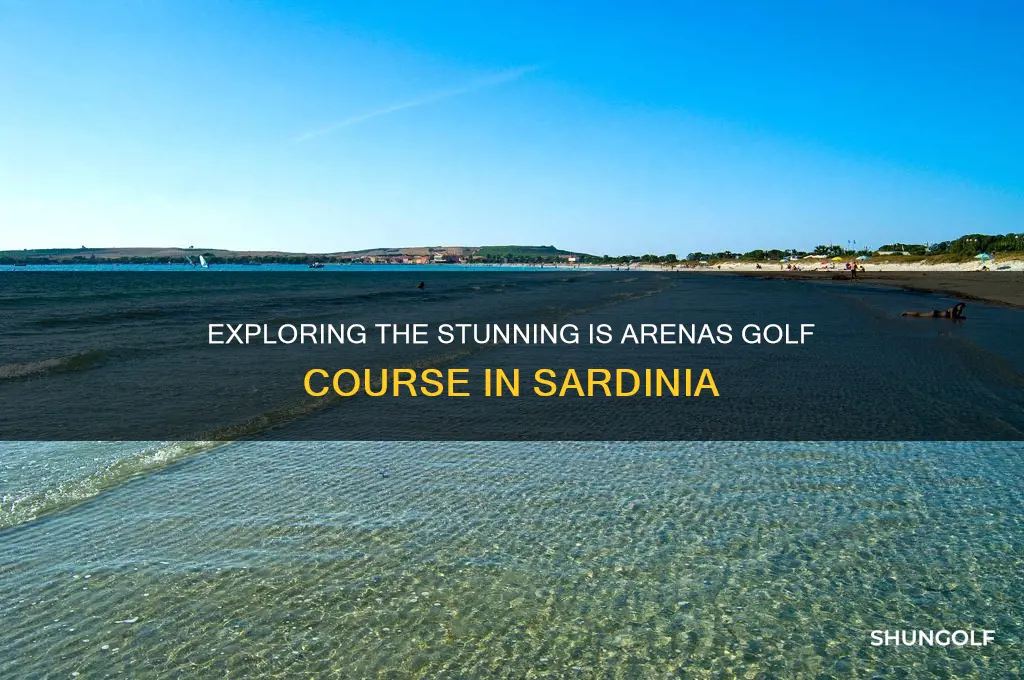 is arenas golf course