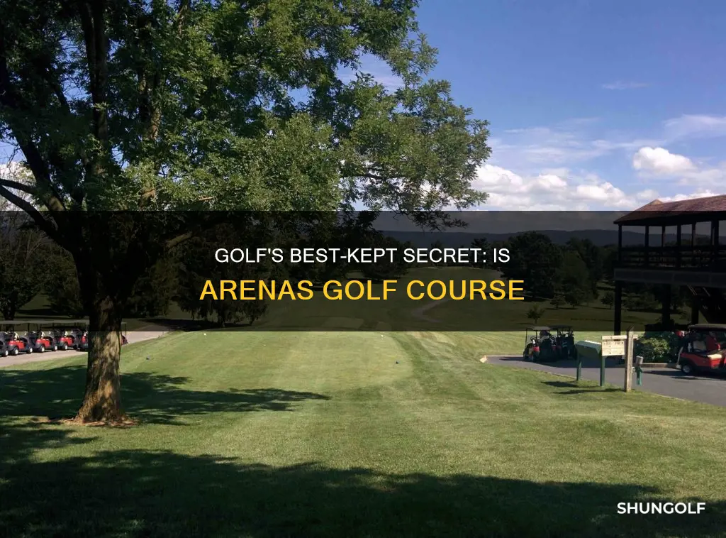 is arenas golf