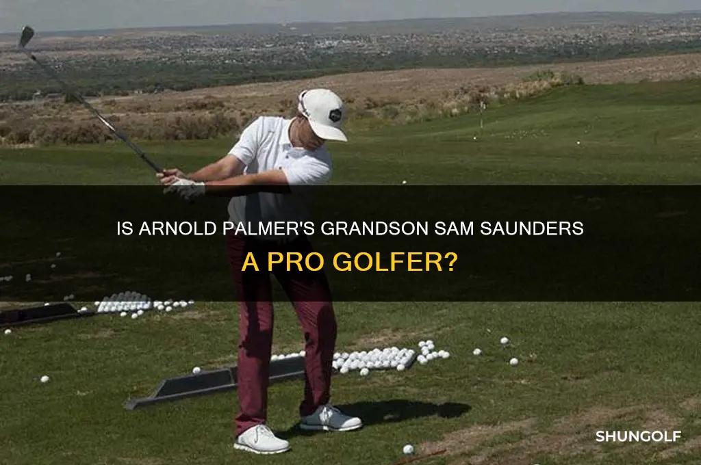 is arnold palmer