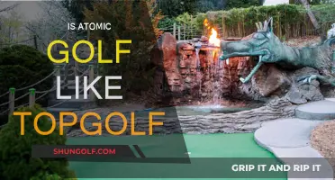 Golfing Fun: Atomic Golf vs Topgolf