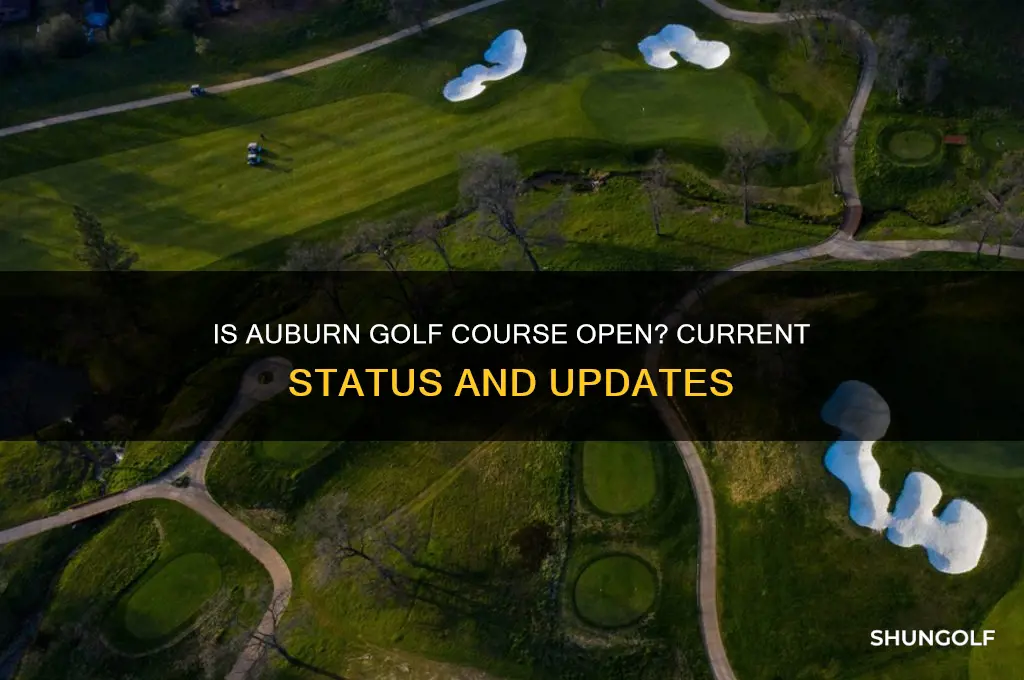 is auburn golf course open