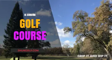 Exploring Auburn Golf Course: A Hidden Gem for Golf Enthusiasts