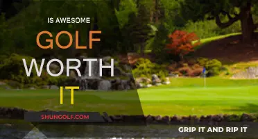 Golfers: Is Awesome Golf Worth the Money?