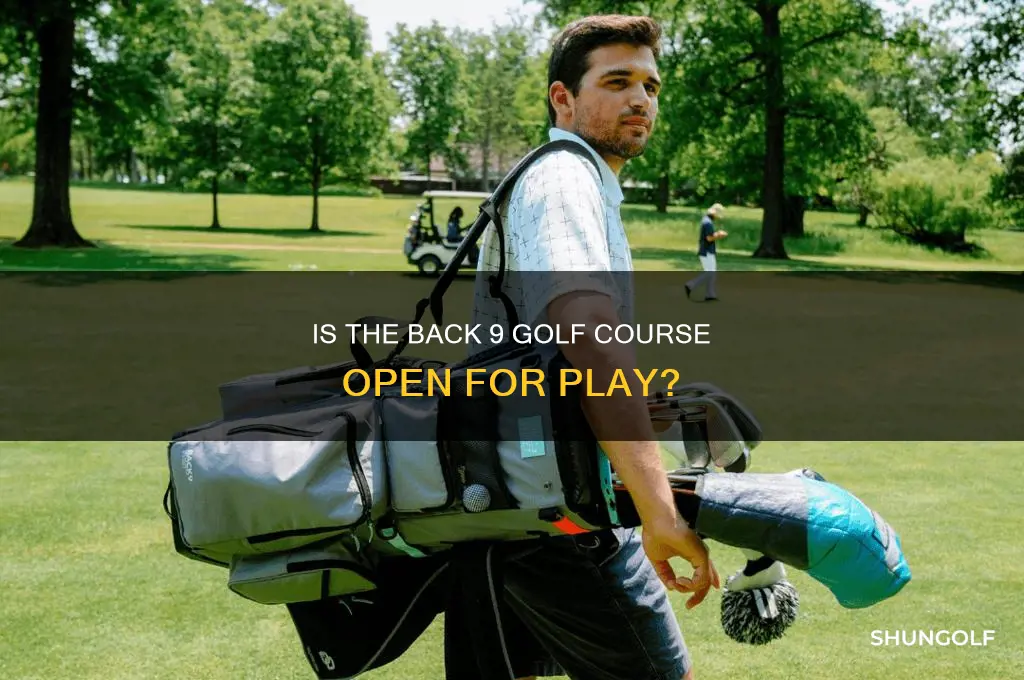 is back 9 golf open