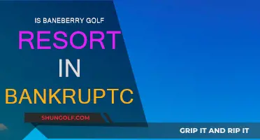 Baneberry Golf Resort: A Bankruptcy Battle