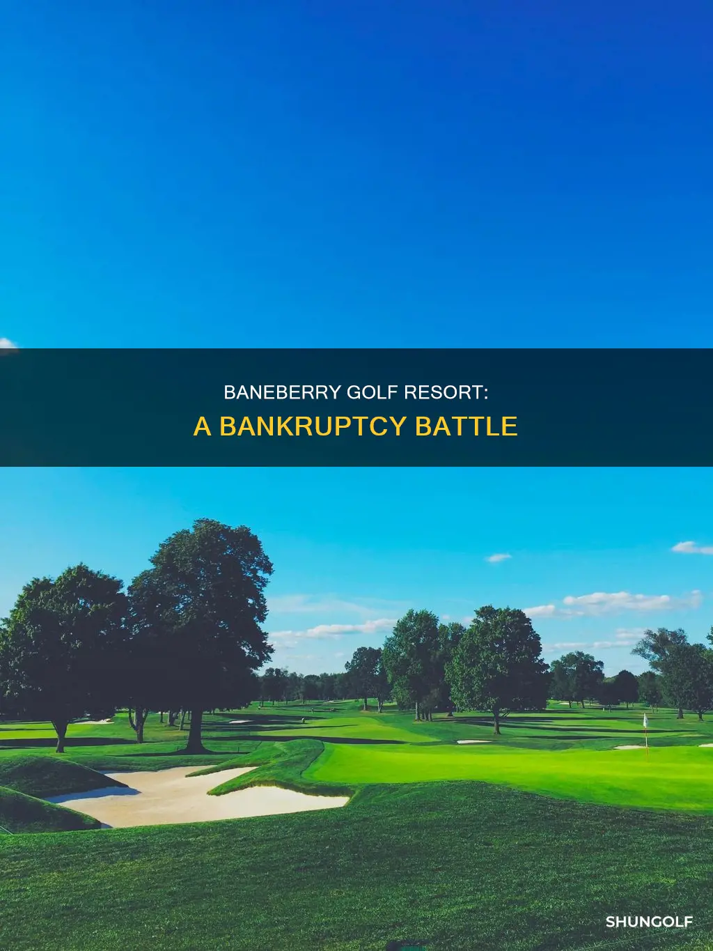 is baneberry golf resort in bankruptcy