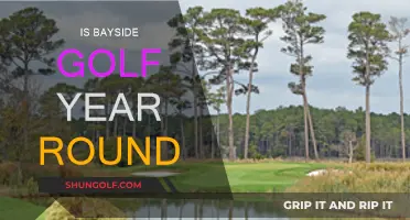 Golfing Bayside: A Year-Round Delight