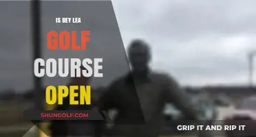 Is Bey Lea Golf Course Open? Current Status and Updates